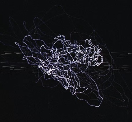 Visual Identity