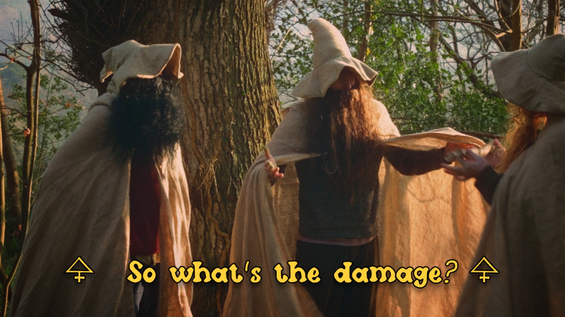 Subtitle Timeline
